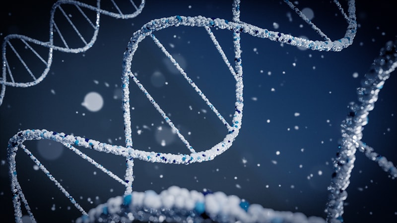 Protein Function Prediction